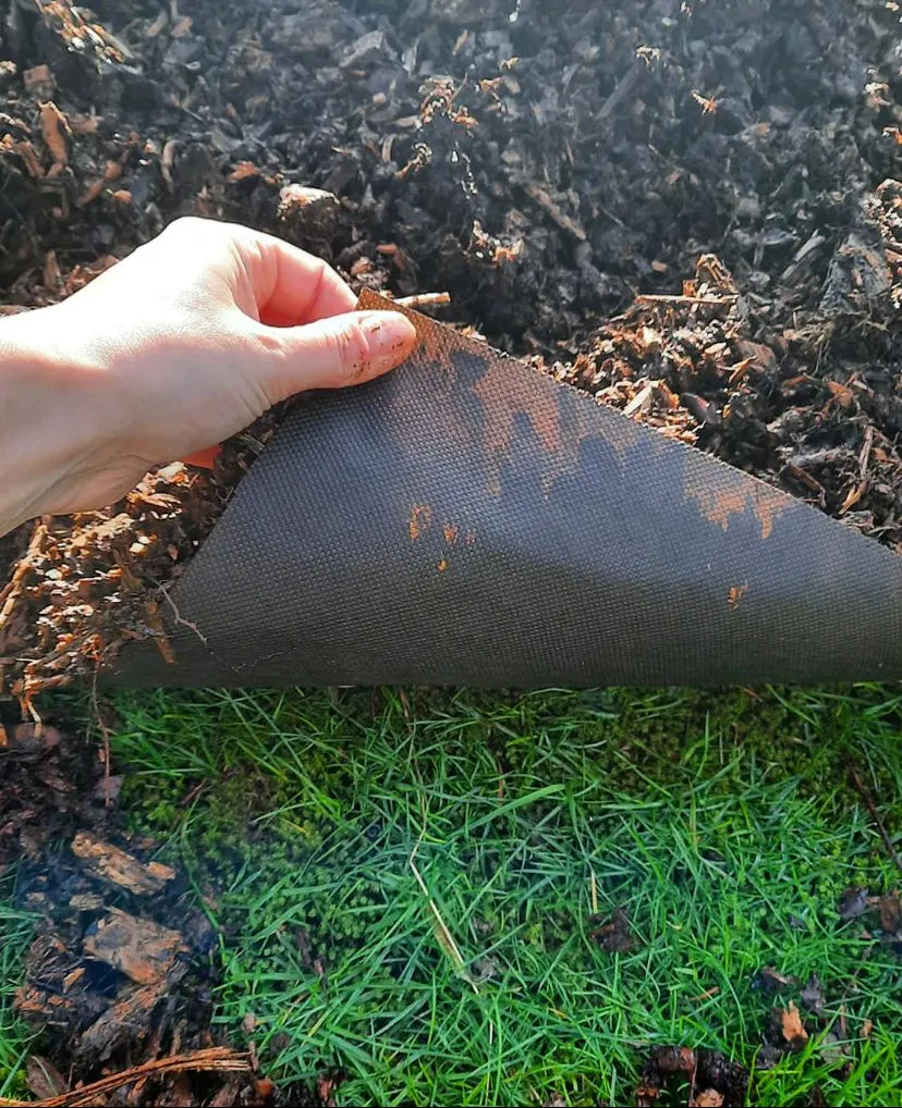 Cornstarch_Heavyweight | Slow Biodegradable Mulch | 1m x 100m