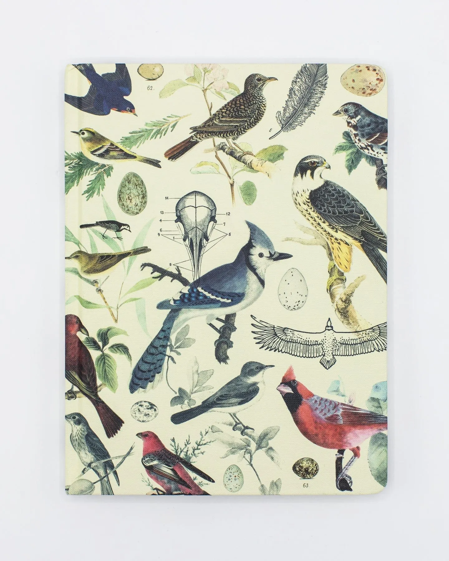 Ornithology: Birds Hardcover Notebook - Lined/Grid