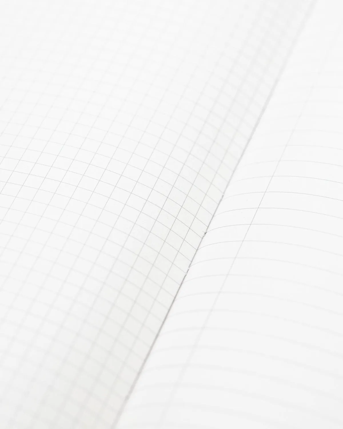 Ornithology: Birds Hardcover Notebook - Lined/Grid